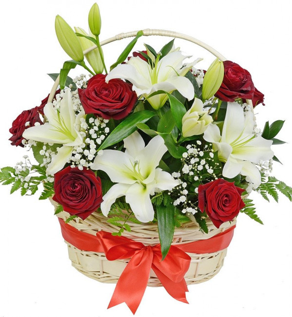 Ванесса Ванесса